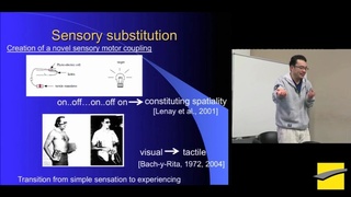 PHITECO 2013 - Co-development of communication system in perceptual crossing