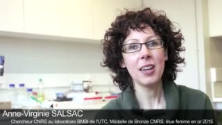 Interview d’A.V. Salsac, médaille de bronze CNRS 