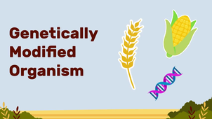 EI05-video : GMOs and the EU