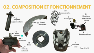 TN20_MANO_PUSCAS.mp4