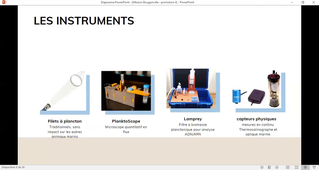 Présentation projet Bougainville