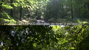 Compiègne, naturellement