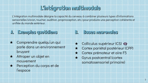 exp SC12 ‐Neuroscience_Nathan_Juline_Lucie.mp4